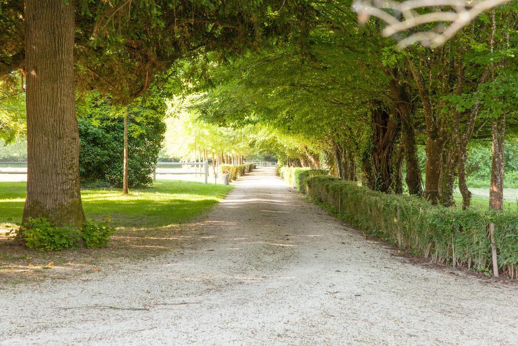 Bed and Breakfast Domaine Labattut Saint-Astier  Exterior foto